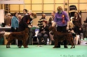 Crufts2011_2 149